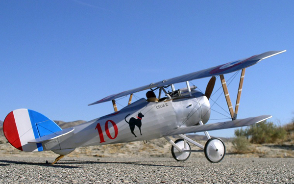 Nieuport 24 1/8 schaal N189