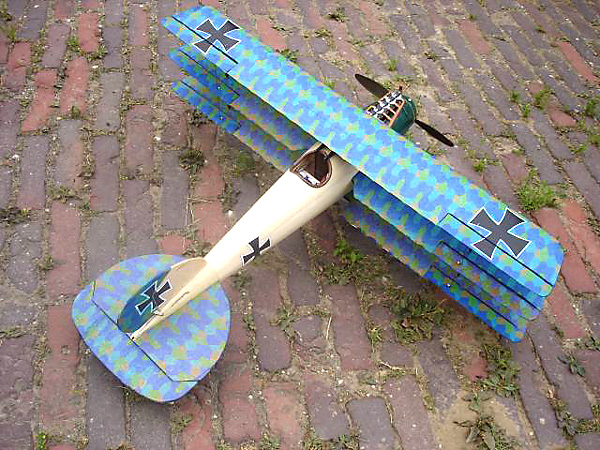 Albatros Dr.1 1/10th scale N101