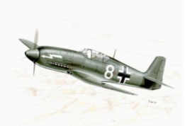 Heinkel He-100 D-1 1/4.6 schaal
