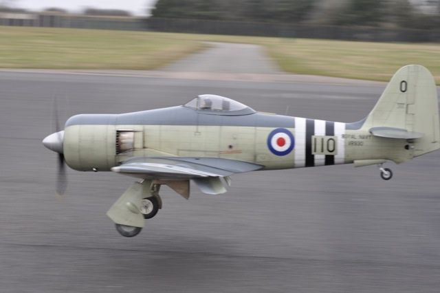 Hawker Sea Fury 1:5,6 schaal