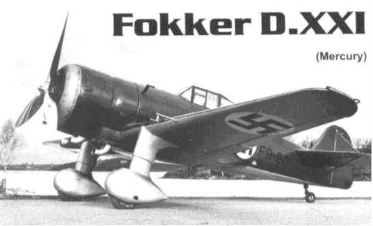 Fokker D XXI Mercury Powered 1/5 schaal