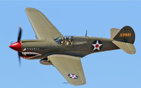 Curtiss P-40 Warhawk 1/5.5 schaal