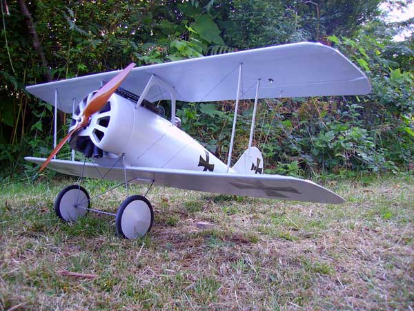 Pfalz D.VII 1/8 N175