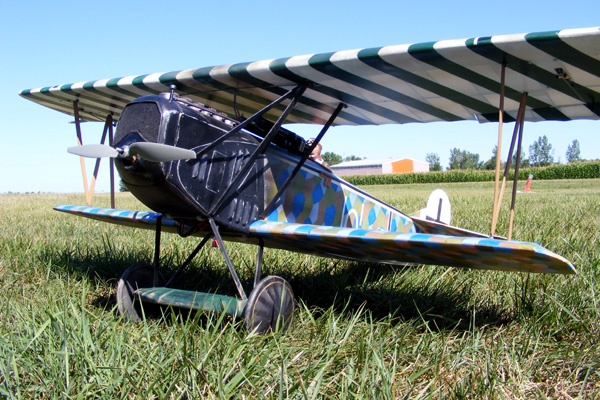 Fokker DVII 1/6th scale N156