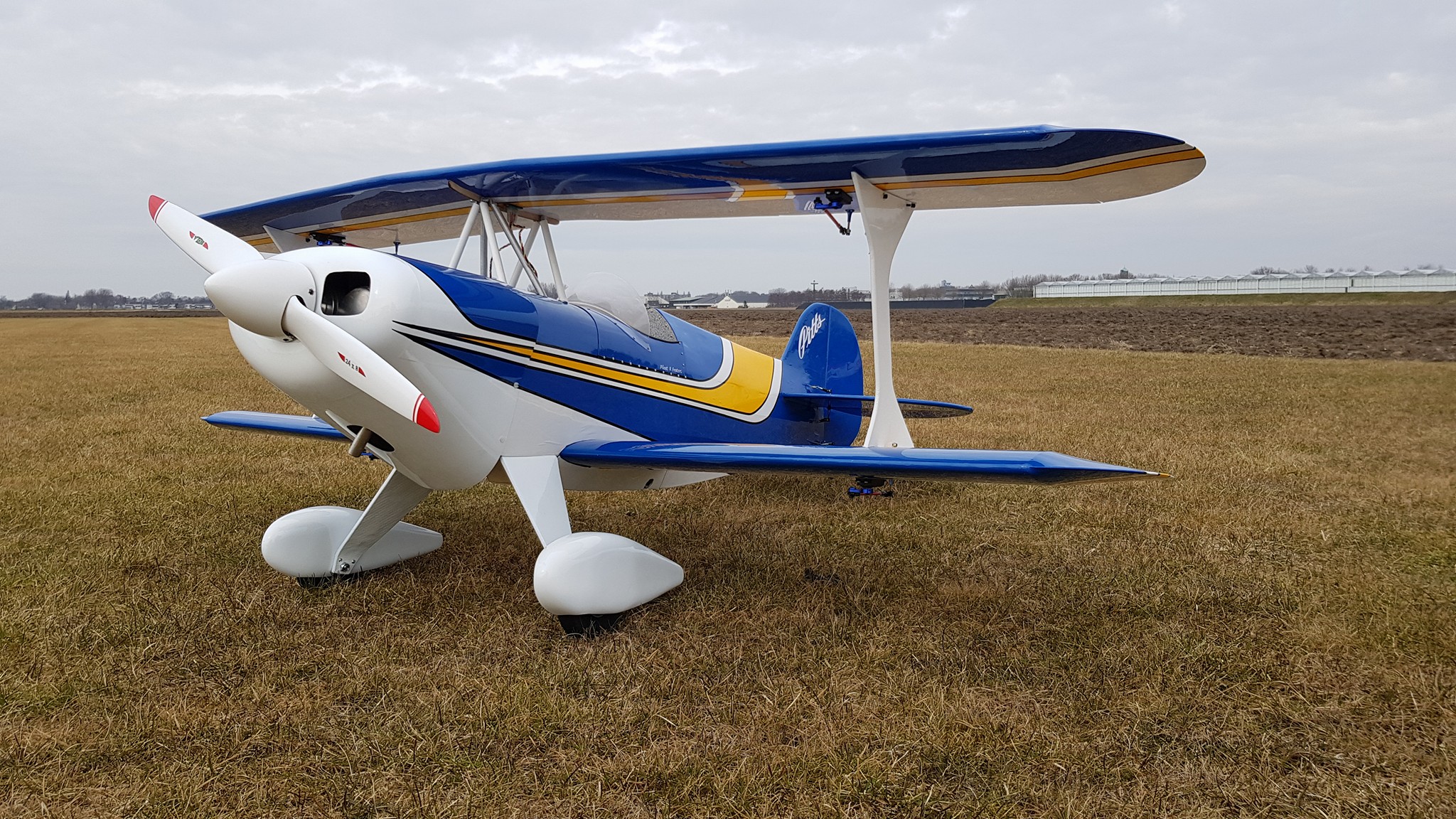 Pitts S1 1750mm Woodkit