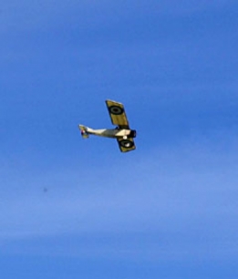 Morane Saulnier L 1/6 schaal N063