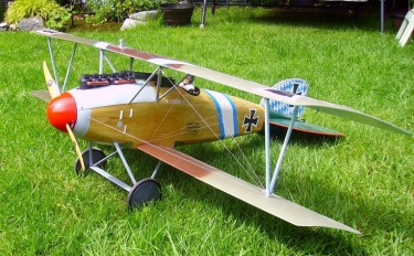 Albatros DIII 1/6th scale N198